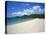 Grand Anse Beach, Grenada, Windward Islands, West Indies, Caribbean, Central America-Harding Robert-Stretched Canvas