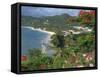 Grand Anse Beach, Grenada, Windward Islands, West Indies, Caribbean, Central America-Harding Robert-Framed Stretched Canvas