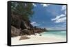 Grand Anse Beach, La Digue, Seychelles, Indian Ocean, Africa-Sergio Pitamitz-Framed Stretched Canvas