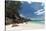 Grand Anse Beach, La Digue, Seychelles, Indian Ocean, Africa-Sergio Pitamitz-Stretched Canvas