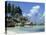 Grand Anse, La Digue, Seychelles, Indian Ocean, Africa-Robert Harding-Stretched Canvas
