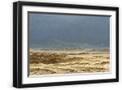 Black Frame
