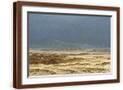 Brown Frame