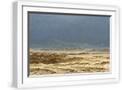White Frame