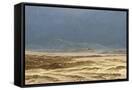 Canvas Black