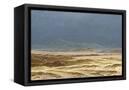Canvas Black