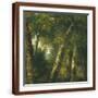 Brown Frame