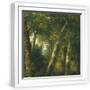 White Frame