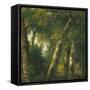 Canvas Black