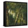 Canvas Black