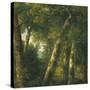 Stretched Canvas