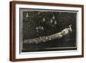 Brown Frame
