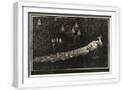 White Frame