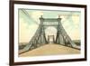 Grand Avenue Bridge, St. Louis, Missouri-null-Framed Premium Giclee Print