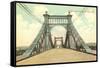 Grand Avenue Bridge, St. Louis, Missouri-null-Framed Stretched Canvas