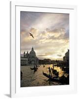 Grand Canal, Santa Maria della Salute Church, Gondolas, Venice, Italy-David Barnes-Framed Photographic Print