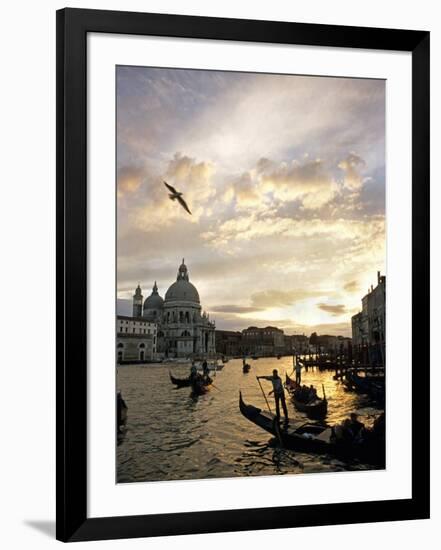 Grand Canal, Santa Maria della Salute Church, Gondolas, Venice, Italy-David Barnes-Framed Photographic Print