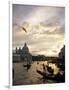 Grand Canal, Santa Maria della Salute Church, Gondolas, Venice, Italy-David Barnes-Framed Photographic Print