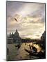 Grand Canal, Santa Maria della Salute Church, Gondolas, Venice, Italy-David Barnes-Mounted Photographic Print