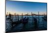 Grand Canal, Venice, Italy, Europe-Mark A Johnson-Mounted Photographic Print