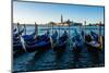 Grand Canal, Venice, Italy, Europe-Mark A Johnson-Mounted Photographic Print