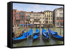 Grand Canal, Venice, UNESCO World Heritage Site, Veneto, Italy, Europe-Amanda Hall-Framed Stretched Canvas