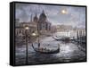 Grand Canal Venice-Nicky Boehme-Framed Stretched Canvas