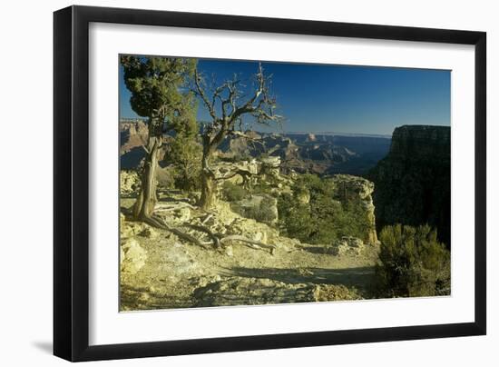 Grand Canyon 06-Gordon Semmens-Framed Premium Photographic Print