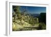 Grand Canyon 06-Gordon Semmens-Framed Premium Photographic Print