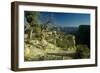 Grand Canyon 06-Gordon Semmens-Framed Photographic Print