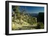 Grand Canyon 06-Gordon Semmens-Framed Photographic Print