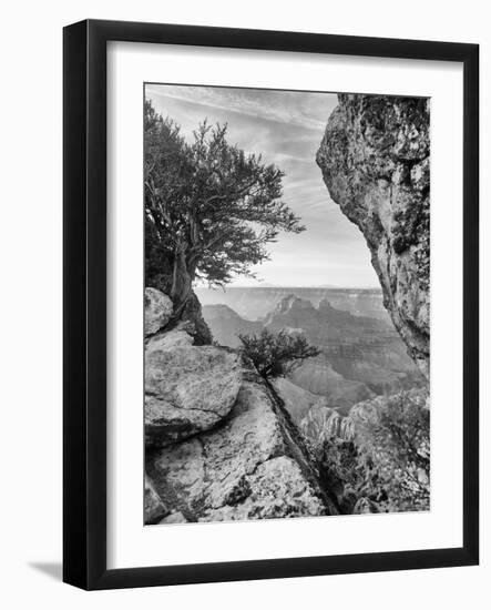 Grand Canyon 07-Gordon Semmens-Framed Photographic Print