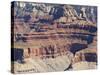 Grand Canyon 1-Sylvia Coomes-Stretched Canvas