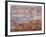 Grand Canyon 2-Sylvia Coomes-Framed Photographic Print