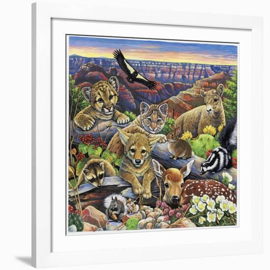 Grand Canyon Babies-Jenny Newland-Framed Giclee Print