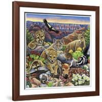 Grand Canyon Babies-Jenny Newland-Framed Giclee Print