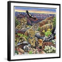 Grand Canyon Babies-Jenny Newland-Framed Premium Giclee Print