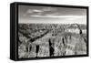 Grand Canyon Dawn II BW-Douglas Taylor-Framed Stretched Canvas