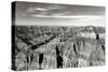 Grand Canyon Dawn II BW-Douglas Taylor-Stretched Canvas