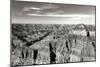 Grand Canyon Dawn II BW-Douglas Taylor-Mounted Photographic Print