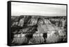 Grand Canyon Dawn III BW-Douglas Taylor-Framed Stretched Canvas