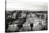 Grand Canyon Dawn III BW-Douglas Taylor-Stretched Canvas
