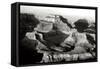 Grand Canyon Dawn IV BW-Douglas Taylor-Framed Stretched Canvas