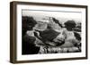 Grand Canyon Dawn IV BW-Douglas Taylor-Framed Photographic Print