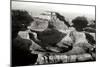 Grand Canyon Dawn IV BW-Douglas Taylor-Mounted Photographic Print