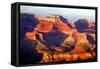 Grand Canyon Dawn IV-Douglas Taylor-Framed Stretched Canvas