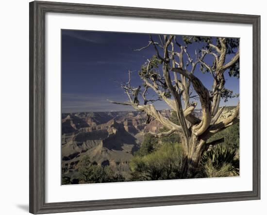 Grand Canyon from South Rim, Grand Canyon National Park, Arizona, USA-Adam Jones-Framed Photographic Print