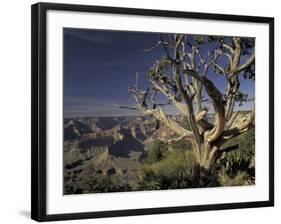 Grand Canyon from South Rim, Grand Canyon National Park, Arizona, USA-Adam Jones-Framed Photographic Print