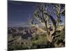 Grand Canyon from South Rim, Grand Canyon National Park, Arizona, USA-Adam Jones-Mounted Photographic Print