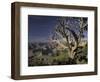 Grand Canyon from South Rim, Grand Canyon National Park, Arizona, USA-Adam Jones-Framed Photographic Print